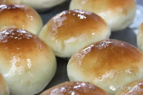 廣雅食堂榮獲食品安全A級認定并開展豐富歌舞活動，打造安全與活力校園環境
